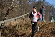 Crosslauf Graz 2017
